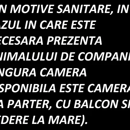 Black Sea View 招待所