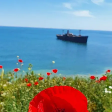 Black Sea View Costinesti