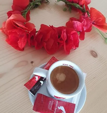 Black Sea View Guest house Costinesti